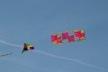 mongolfiade -1-16